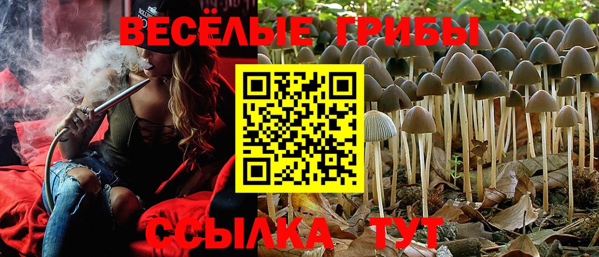 Галлюциногенные грибы Psilocybine cubensis  Вход с VPN  Дербент 